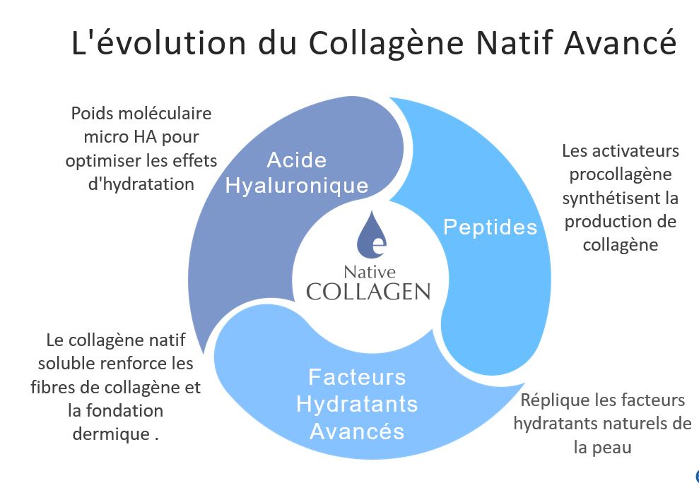 LIGNE CLINIQUE - SERUM Advanced Collagen HA + C Concentration de 45
